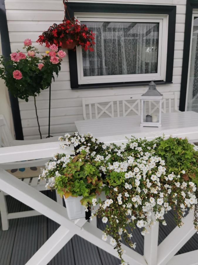 Sapni Villa Kolka Dış mekan fotoğraf